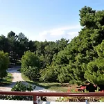 Ritosa פורץ